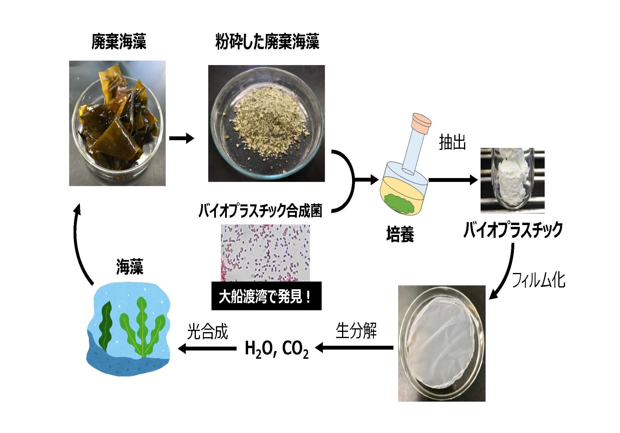 丸亀競艇 攻略